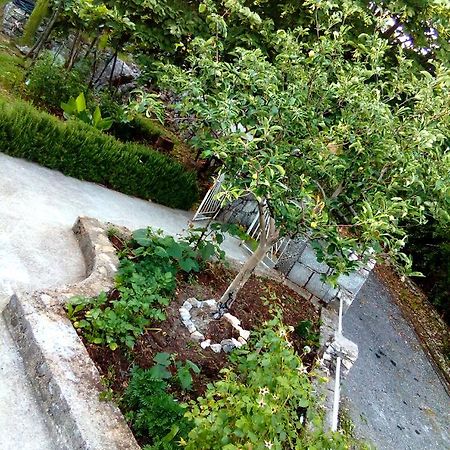 Country House "Lipa" Komarno Virpazar Kültér fotó