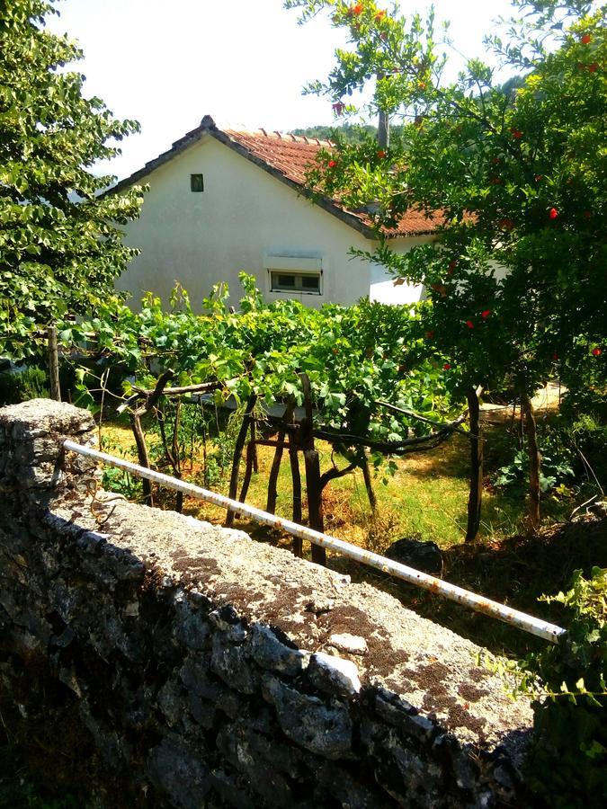 Country House "Lipa" Komarno Virpazar Kültér fotó