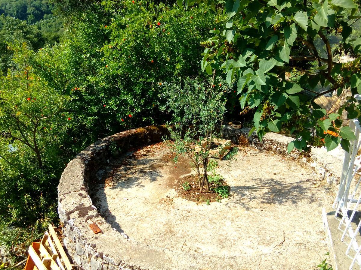 Country House "Lipa" Komarno Virpazar Kültér fotó
