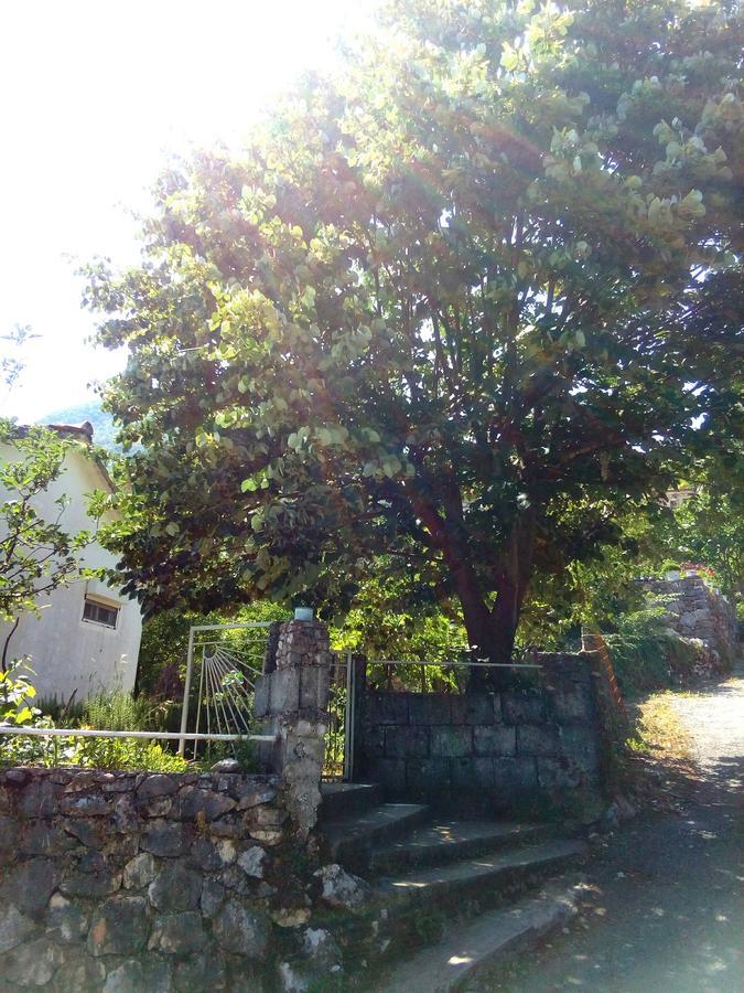 Country House "Lipa" Komarno Virpazar Kültér fotó