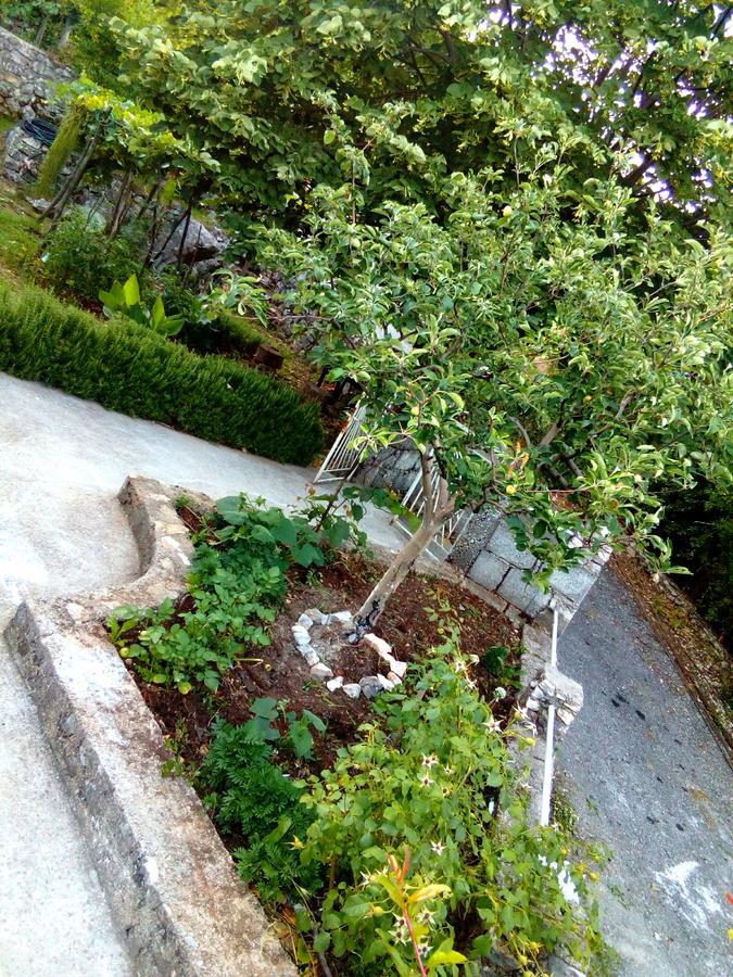Country House "Lipa" Komarno Virpazar Kültér fotó