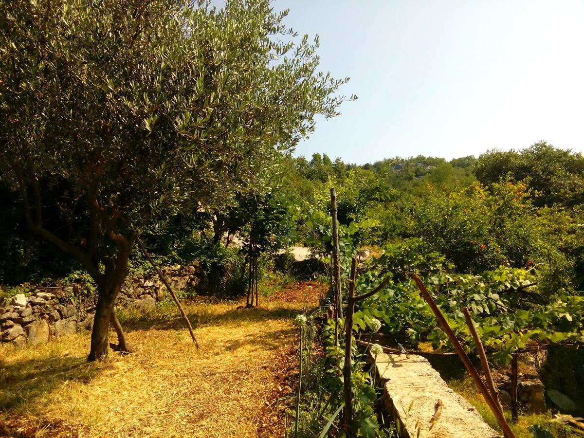 Country House "Lipa" Komarno Virpazar Kültér fotó