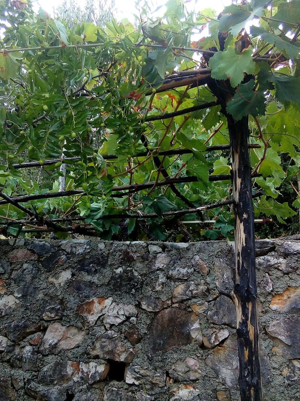 Country House "Lipa" Komarno Virpazar Kültér fotó