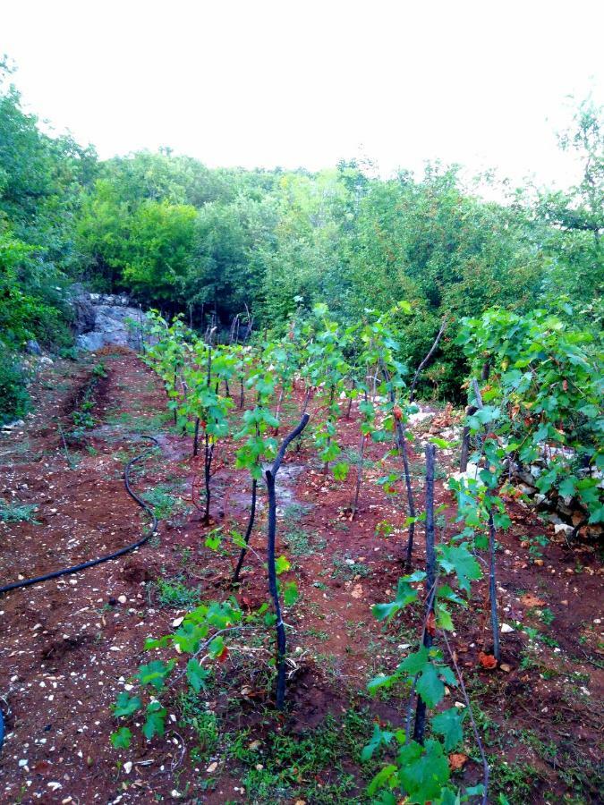 Country House "Lipa" Komarno Virpazar Kültér fotó