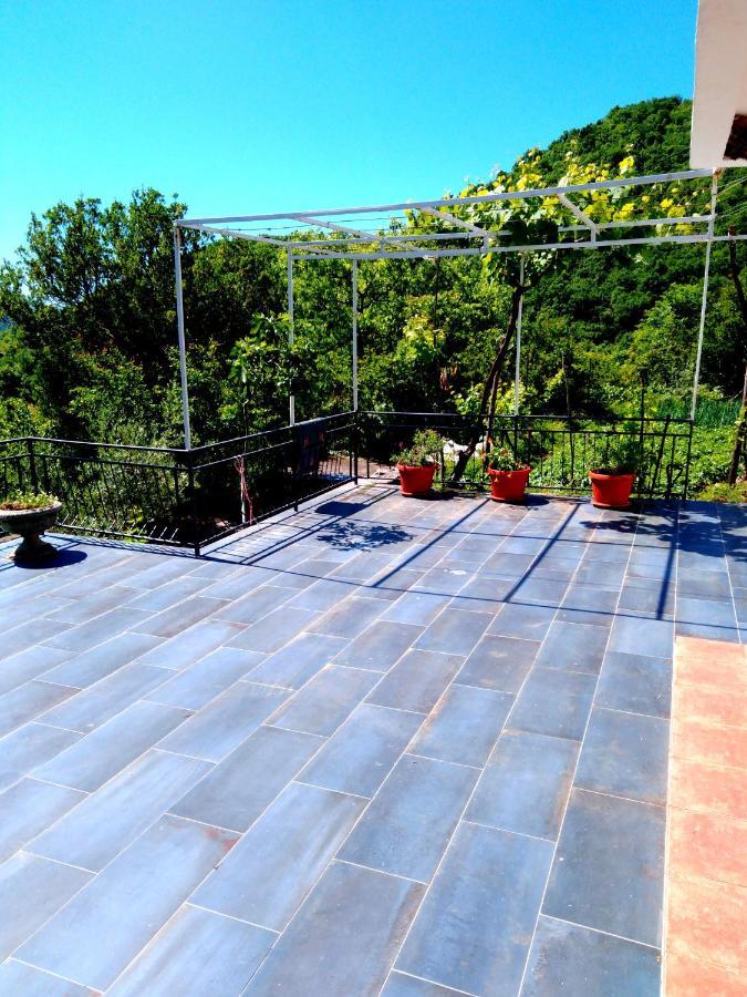 Country House "Lipa" Komarno Virpazar Kültér fotó